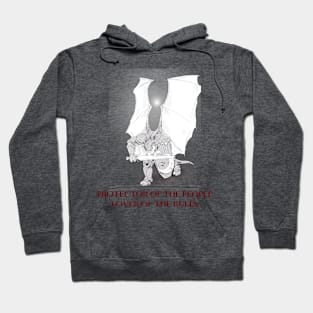 Lux Lekki'Lihtz Dragonborn Paladin Hoodie